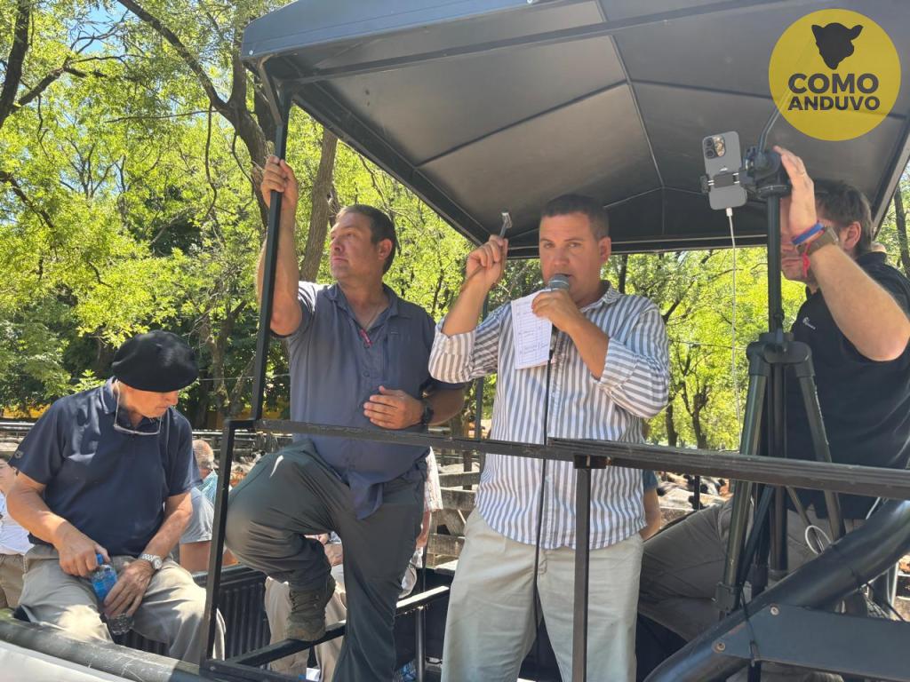 Néstor I. Goenaga y Cía 